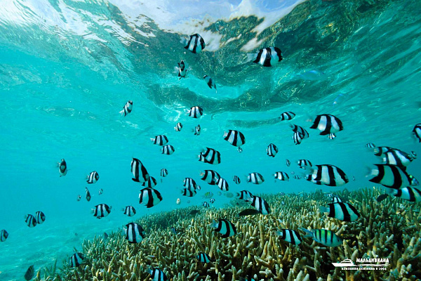 Gili Lankanfushi Maldives