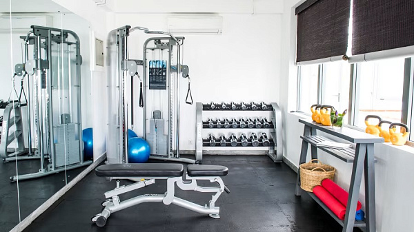 Owl and the Pussycat