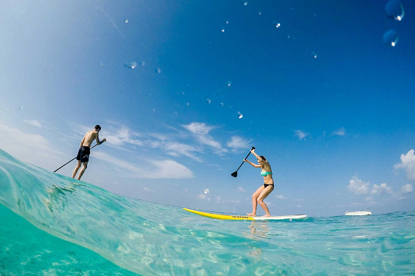 Malahini Kuda Bandos