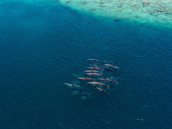 Filitheyo Island Resort 