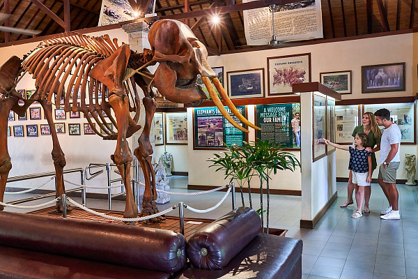 Mason Elephant Park and Lodge