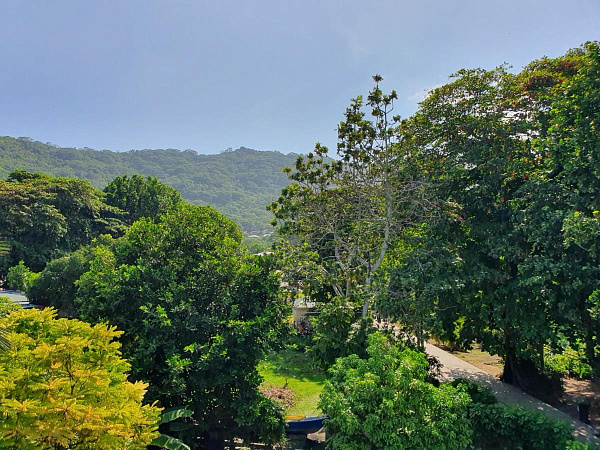 Bord Mer Luxury Apartments