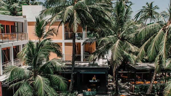 Owl and the Pussycat