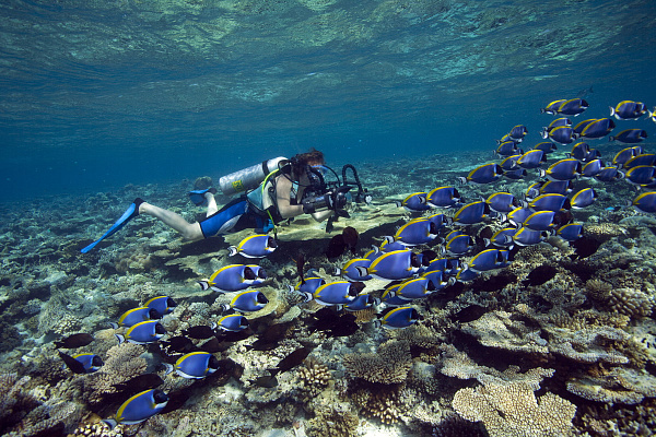 Dhawa Ihuru, Maldives (ex.Angsana Ihuru)