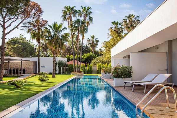 Acanthus Cennet Barut Collection Acanthus Cennet Barut Collection