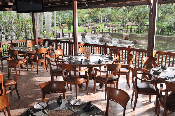 Mason Elephant Park and Lodge