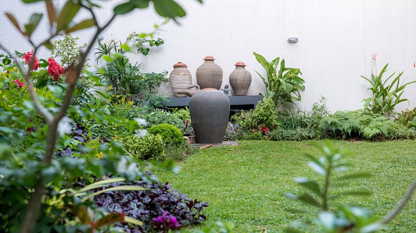 Owl and the Pussycat