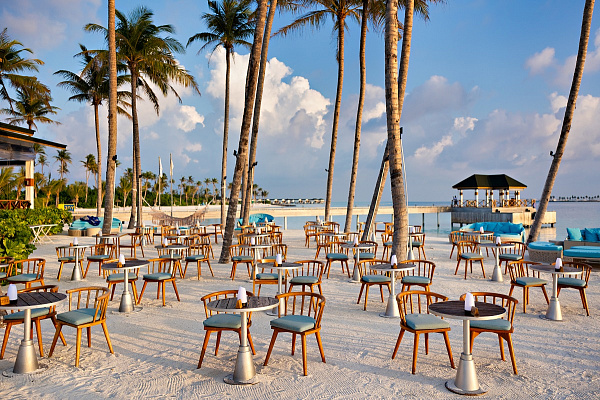 Joy Island by the Cocoon Collection