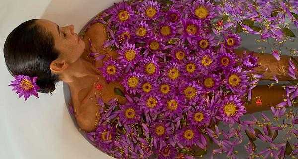 The Fortress Resort & Spa