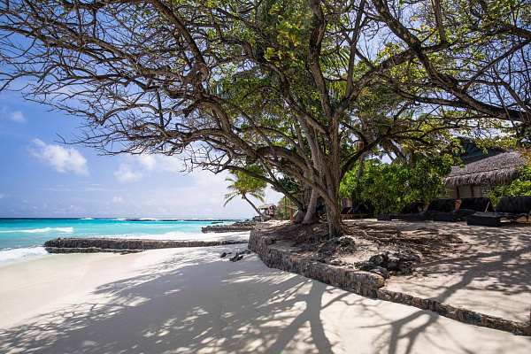 Taj Coral Reef Resort & Spa Taj Coral Reef Resort & Spa