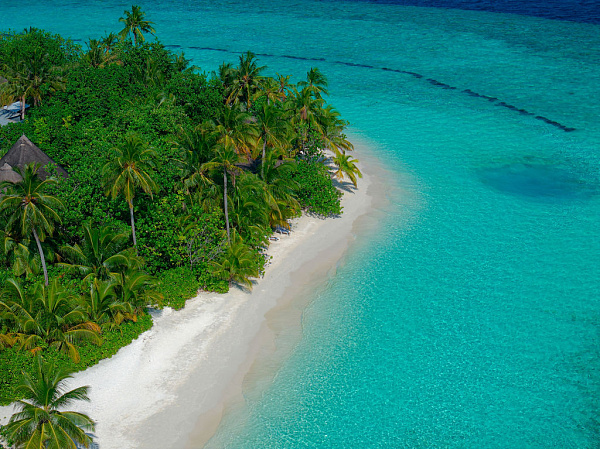 Safari Island Resort & Spa