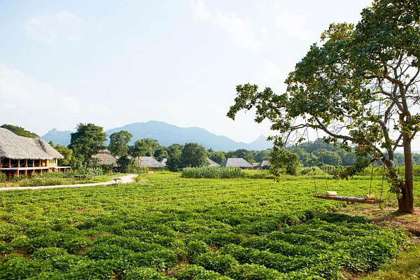 Amuna Ayurveda & Wellness Retreat