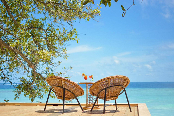 Malahini Kuda Bandos