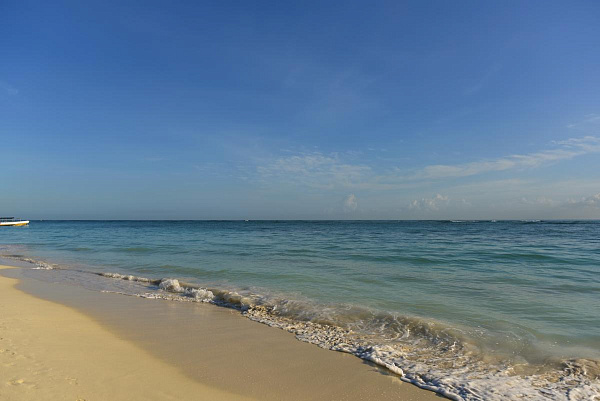 Iberostar Punta Cana 