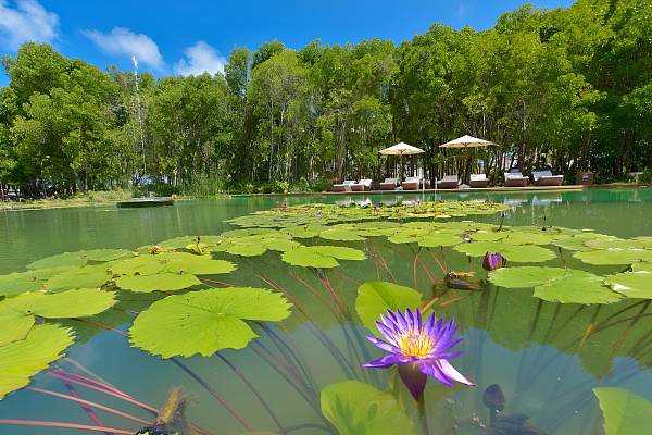 Dreamland - The Unique Sea & Lake Resort