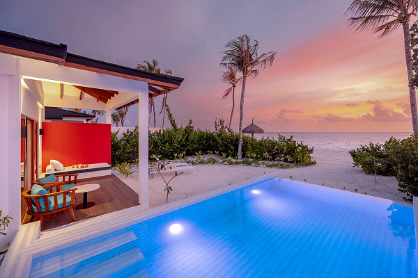 Joy Island by the Cocoon Collection