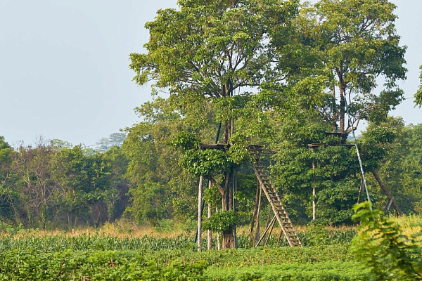 Amuna Ayurveda & Wellness Retreat