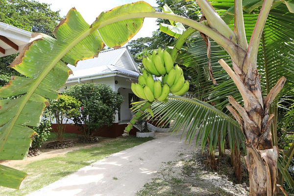 Villa Veuve Villa Veuve