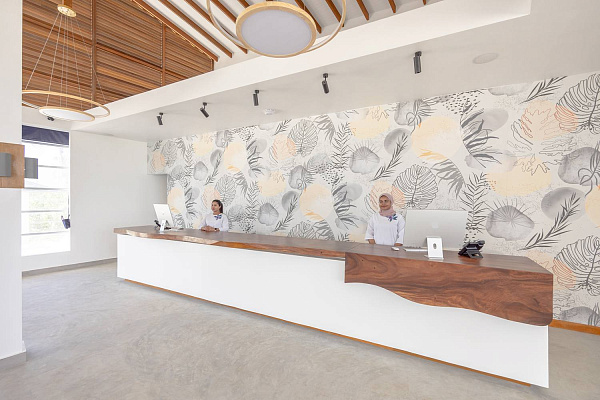 Joy Island by the Cocoon Collection