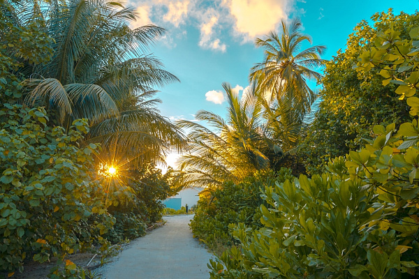 Rahaa Resort Rahaa Resort