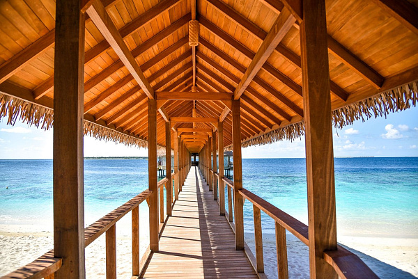 Reethi Faru Bio Resort  Reethi Faru Bio Resort