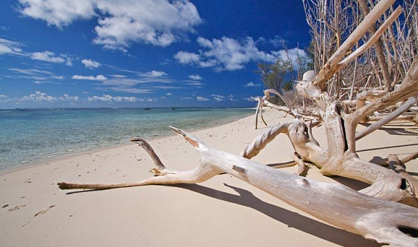 Bird Island Lodge (Bird Island) Bird Island Lodge (Bird Island)