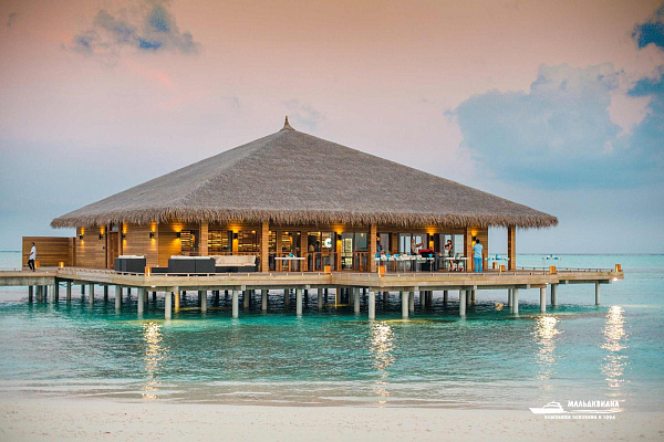 Cocoon Maldives