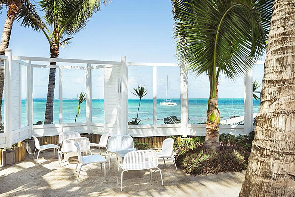 Tropical Attitude Tropical Attitude