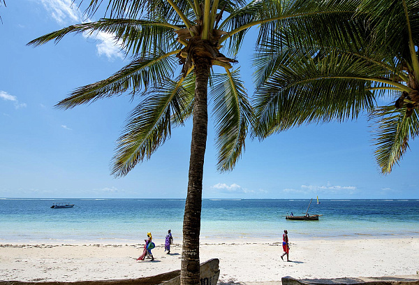 Diamonds Dream of Africa