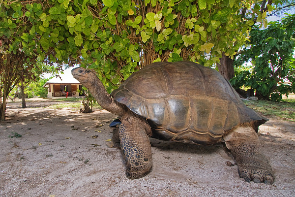 Bird Island Lodge (Bird Island) Bird Island Lodge (Bird Island)