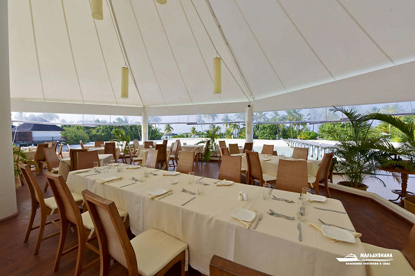 Safari Island Resort & Spa