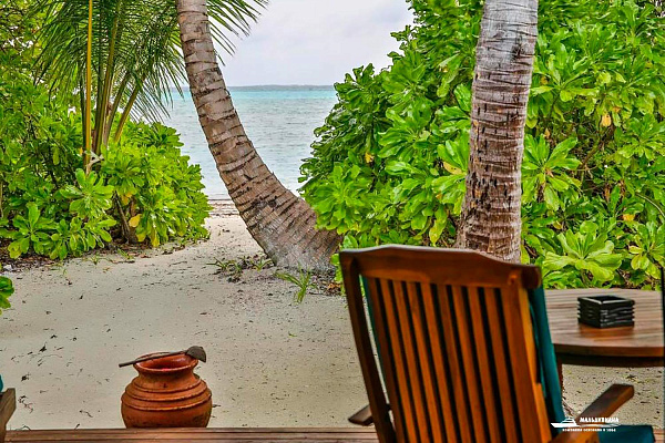 Canareef Resort Maldives Canareef Resort Maldives