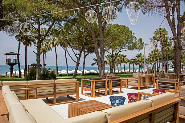 Acanthus Cennet Barut Collection Acanthus Cennet Barut Collection