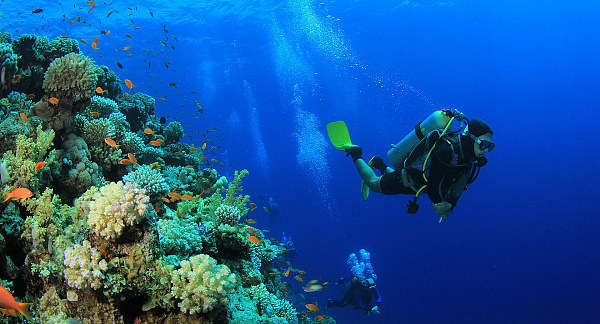 NH Collection Maldives Reethi Resort 