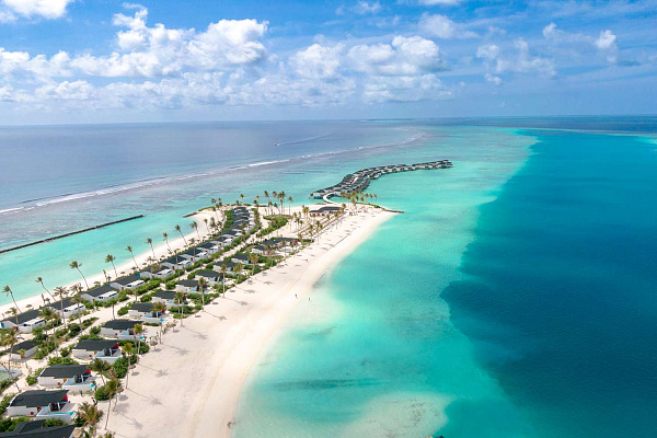 Joy Island by the Cocoon Collection