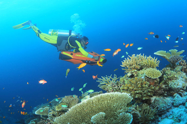 You & Me by Cocoon Maldives