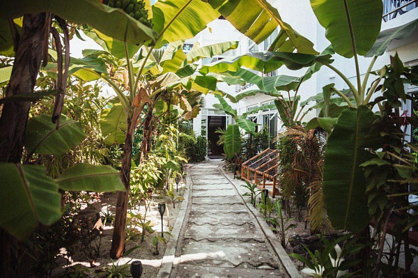 Perla Dhangethi Guest House