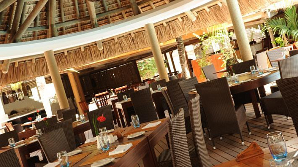 Coin de Mire Attitude