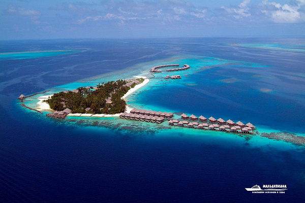 Coco Bodu Hithi