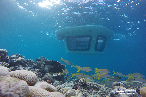 Lily Beach Resort & Spa at Huvahendhoo