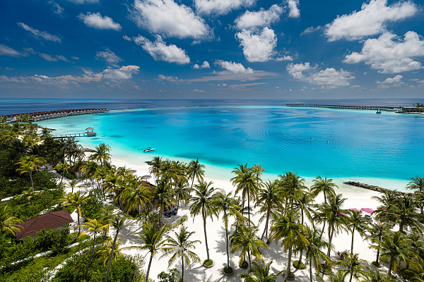 OBLU SELECT Lobigili