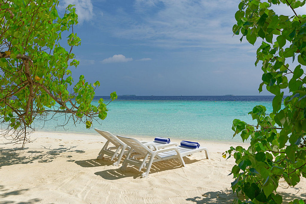 Safari Island Resort & Spa