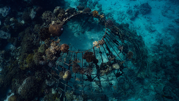 Banyan Tree Vabbinfaru Banyan Tree Vabbinfaru