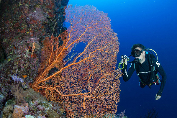 Grand Park Kodhipparu Maldives Grand Park Kodhipparu Maldives