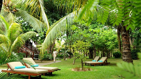 Coin de Mire Attitude