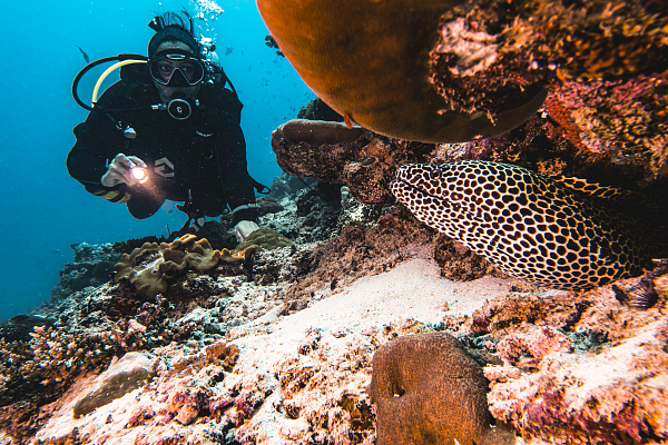 Sun Siyam Iru Fushi Maldives