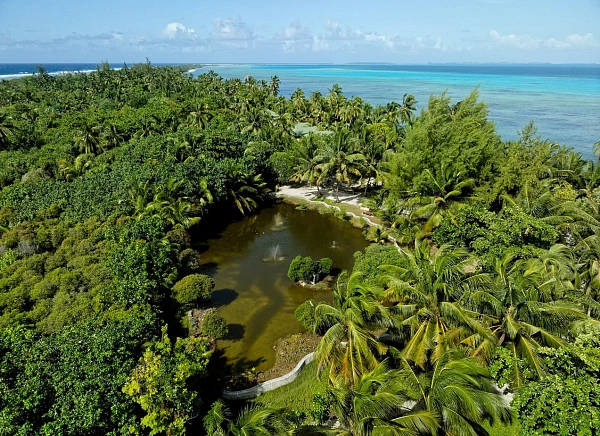 Canareef Resort Maldives