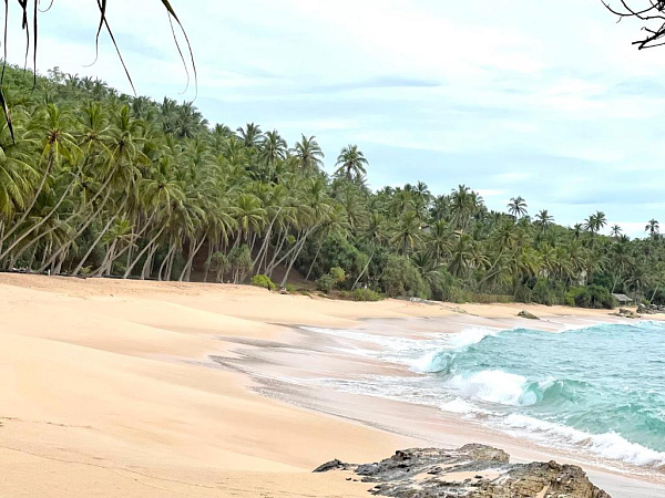 D Art Villa Retreat And Spa