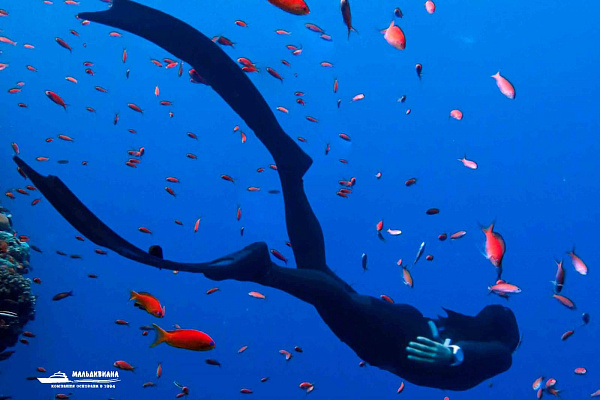 Fregate Island (Fregate)