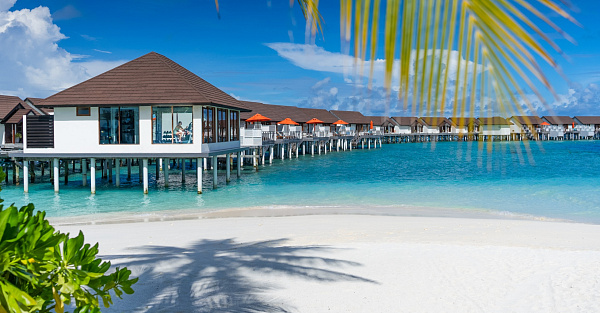 OBLU SELECT at Sangeli